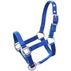 Helga Kreft Halfter Für Gartenpferde, Blau