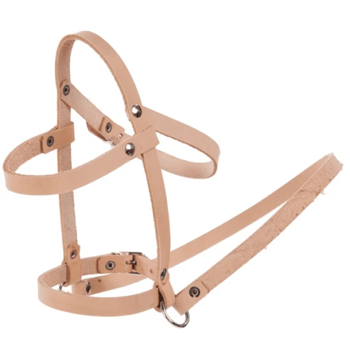 Helga Kreft Halfter Für Schaukelpferd Jolly Popcorn 2 Helga Kreft Halfter Für Schaukelpferd Jolly Popcorn -Zapf Creation Store helga kreft halfter fuer schaukelpferd jolly popcorn a276890